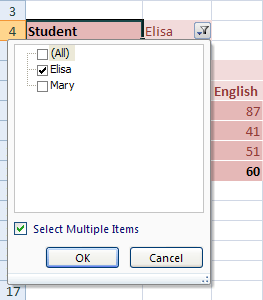 Tablas pivotantes de Excel