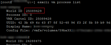 lista de procesos de esxcli vm