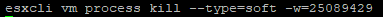 muerte del proceso de esxcli vm 