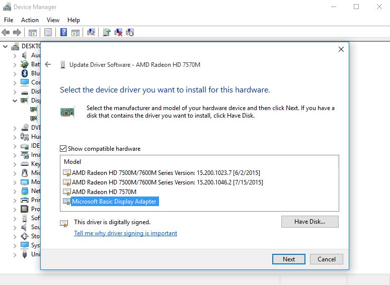 Adaptador de pantalla básico de Microsoft 