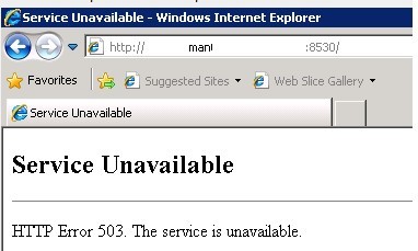 HTTP Error 503 El servicio no está disponible