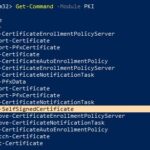 ¿Cómo crear un certificado autofirmado en Windows con PowerShell?