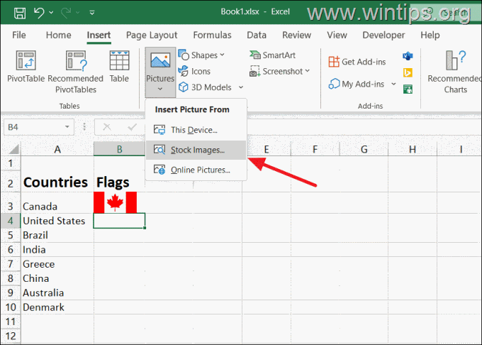 insertar imagen de stock excel Cómo insertar una imagen a partir de imágenes de archivo en Excel.