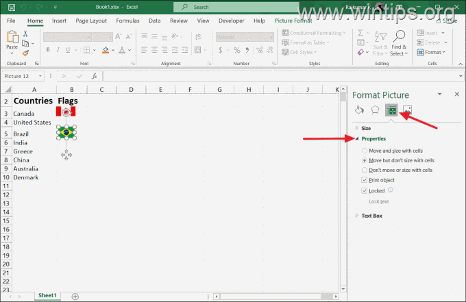formatear imagen Bloquear imagen en celda de Excel