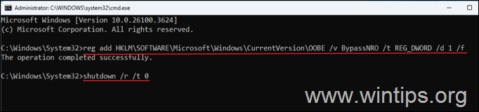 Instale Windows 11 con cuenta local - Registro