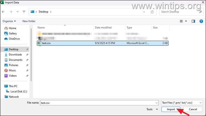 importar csv a excel