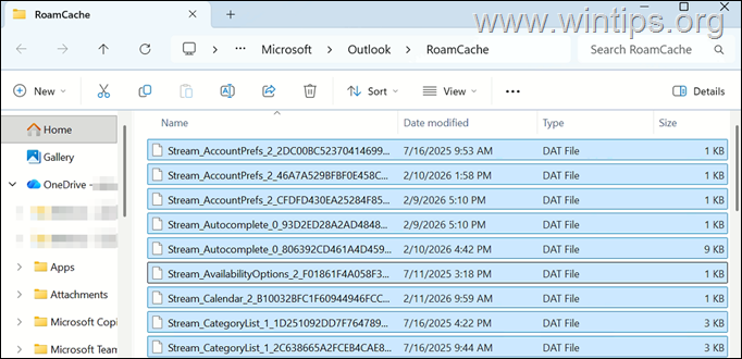 imagen Borrar caché de Outlook